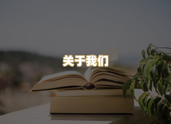 关于我们